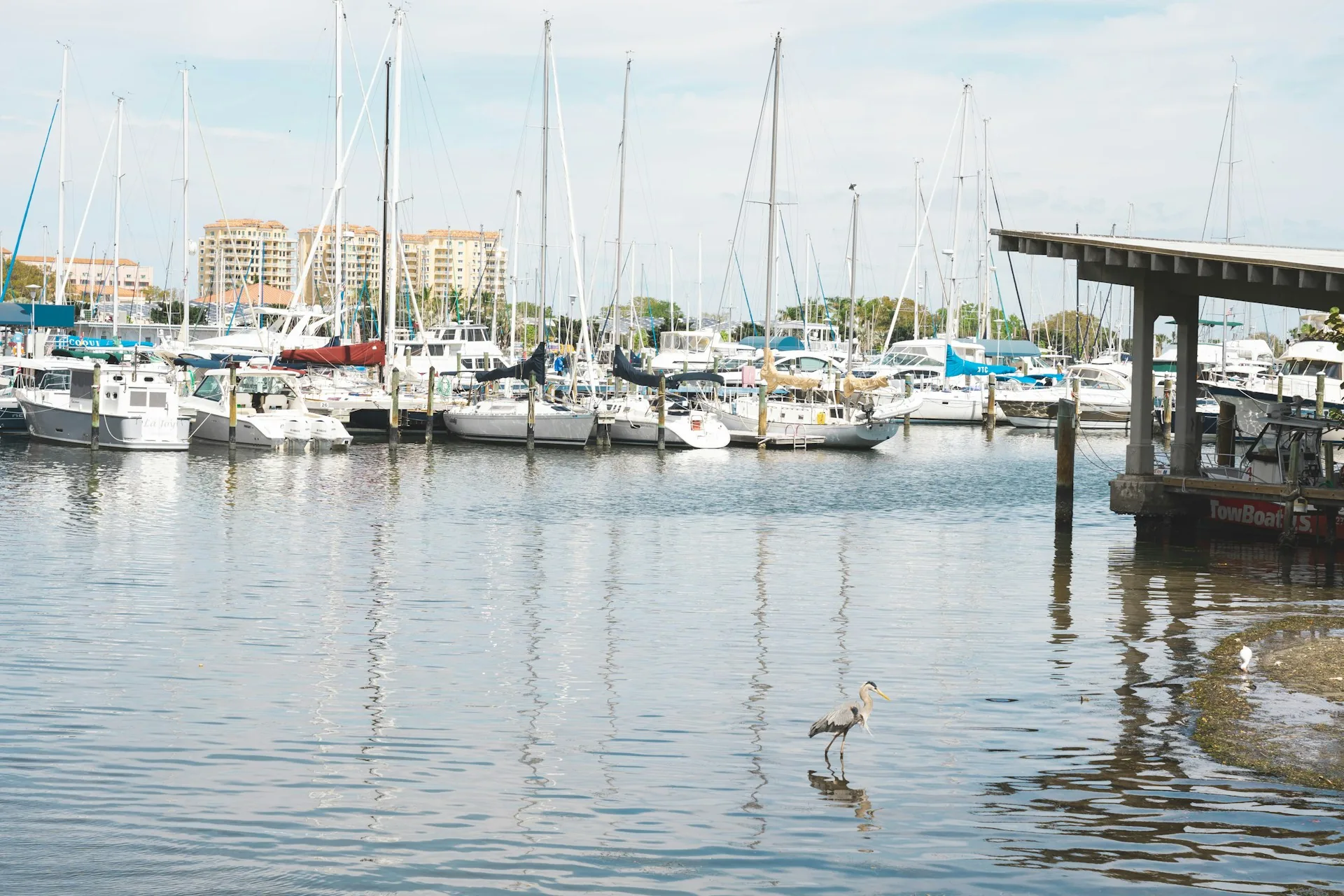 St. Petersburg’s Year-Round Challenge: Protecting Your Home from Sun and Salt